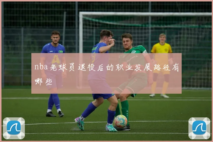 nba老球员退役后的职业发展路径有哪些