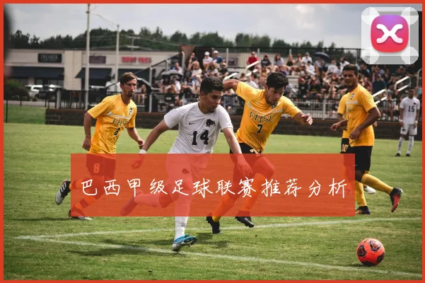 巴西甲级足球联赛推荐分析