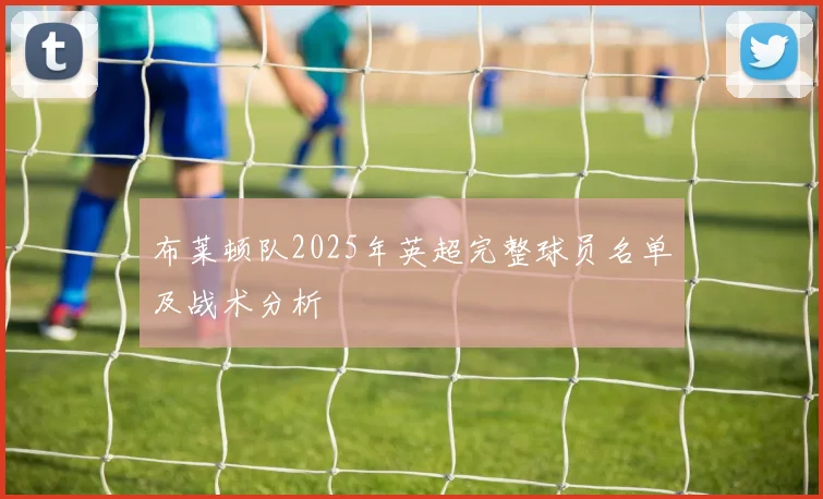 布莱顿队2025年英超完整球员名单及战术分析