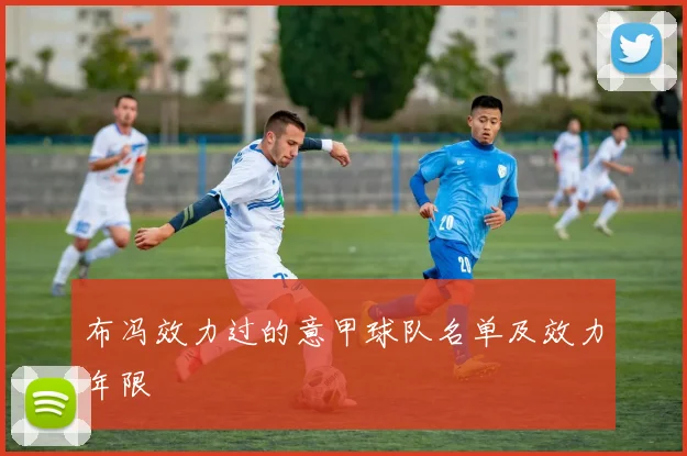 布冯效力过的意甲球队名单及效力年限