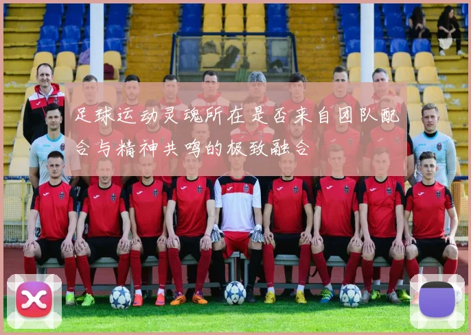 足球运动灵魂所在是否来自团队配合与精神共鸣的极致融合