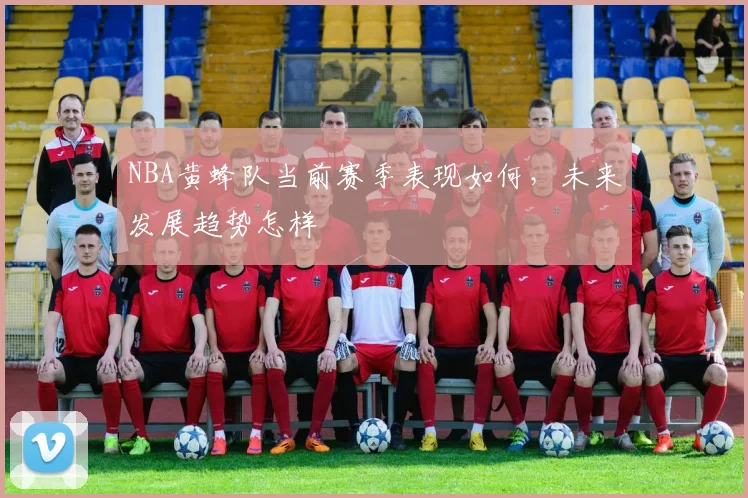 NBA黄蜂队当前赛季表现如何，未来发展趋势怎样