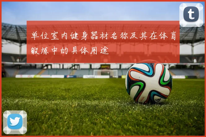 单位室内健身器材名称及其在体育锻炼中的具体用途