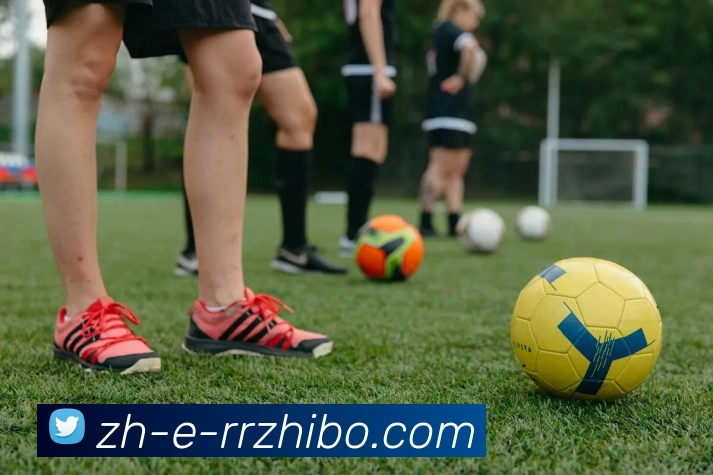 人人体育平台生态图